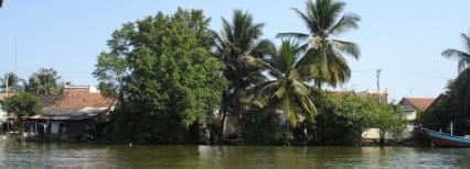 Full Day motorbike tour to Mekong Delta