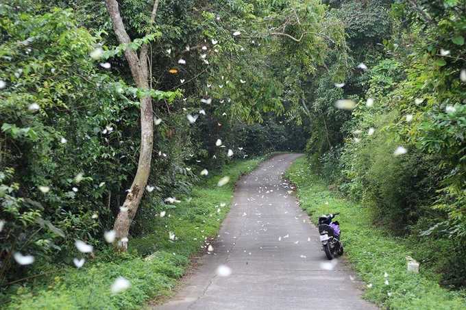 C 1 BLNZ - One Day Motorbike Tour to Cuc Phuong National Park