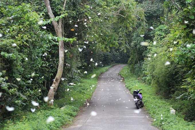 Hanoi Motorbike Tour to Cuc Phuong - Tam Coc for 2 Days