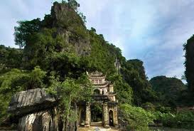 Cuc Phuong park - CUC PHUONG - NINH BINH