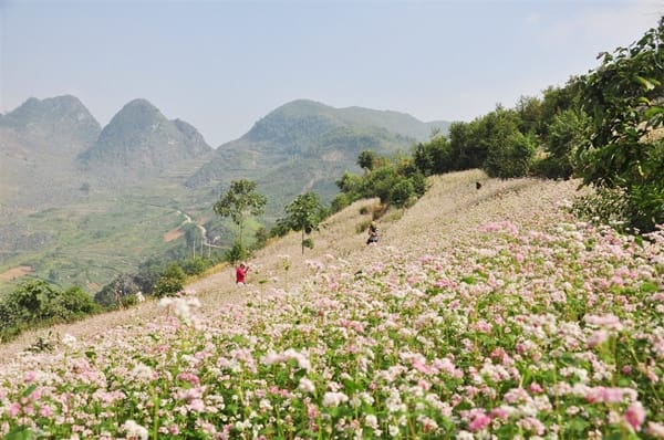 Dong Van Ha Giang - HA GIANG