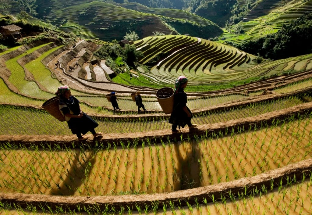Mu Cang Chai Vietnam 1024x705 - LEGENDARY VIETNAM MOTORBIKE TOUR FROM HANOI TO HOI AN VIA SAPA AND MAI CHAU - 12 DAYS