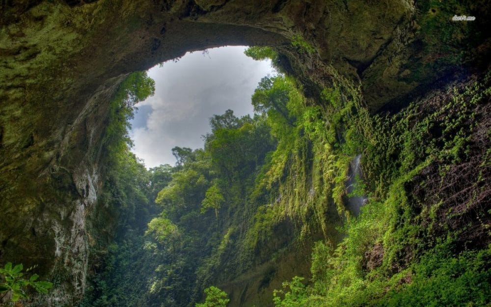 Son doong cavern scaled e1584531985768 - SON DOONG CAVE