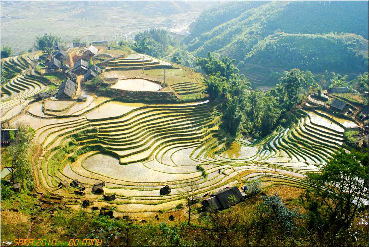 Terraced fields in Sapa Town - Lao Cai Province
