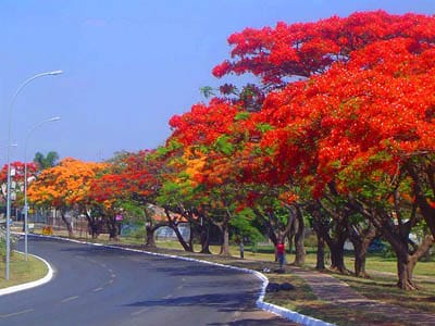 hai phong city