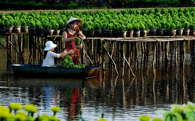 The Mekong Delta 1 - THE MEKONG DELTA