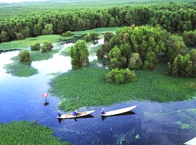 hau giang