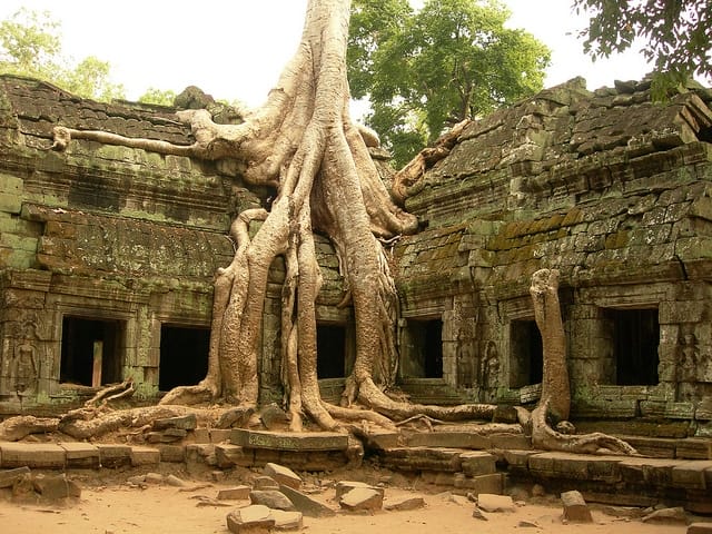 Ta Prohm Temple