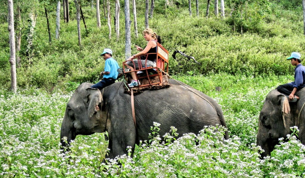 Riding elephant in jungles 1024x598 - HISTORIC SAIGON MOTORBIKE TOUR TO HUE VIA CENTRAL HIGHLANDS & HO CHI MINH TRAILS