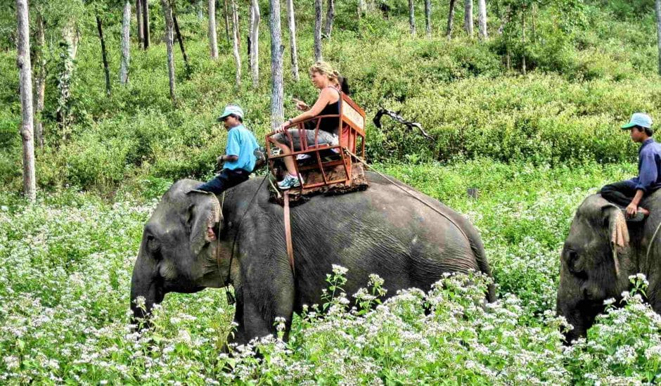 Riding elephant in jungles 1024x598 - HISTORIC SAIGON MOTORBIKE TOUR TO HUE VIA CENTRAL HIGHLANDS & HO CHI MINH TRAILS