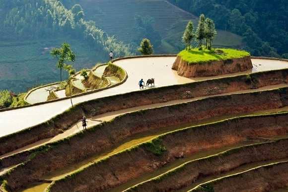 Hoang Su Phis terraced fields 7 - Sapa to Ha Giang by Motorbike : Borders & Back-Roads