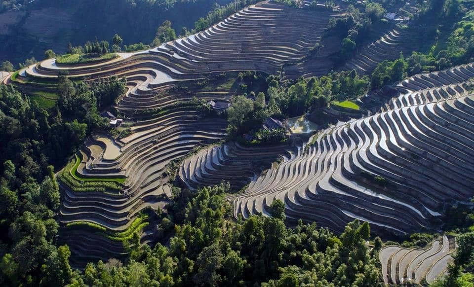 Hoang Su Phis terraced fields9 - Dramatic Vietnam motorbike tour to Ha Giang with night train - 5 Days
