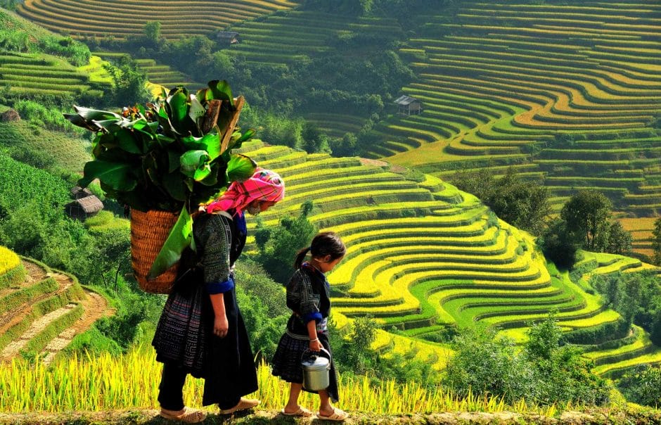 dc 150826 Sapa 1024x658 - Where and when to visit northern Vietnam for the first-time visitors