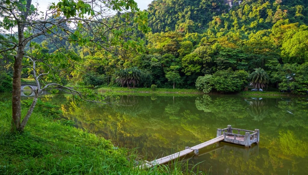 Cuc Phuong National Park 1024x582 - Top 10 photography spots in Northern Vietnam