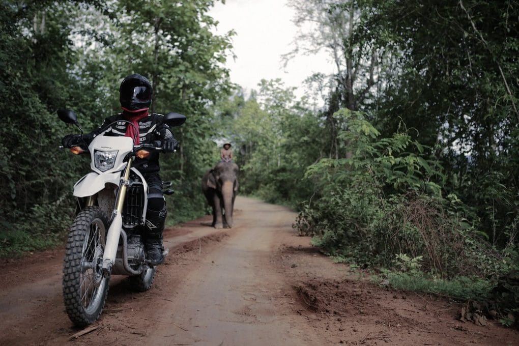 The Luang Prabang motorbike tour 1024x683 - Luang Prabang Motorbike Tour to Elephant Camp, Kuang Si Falls