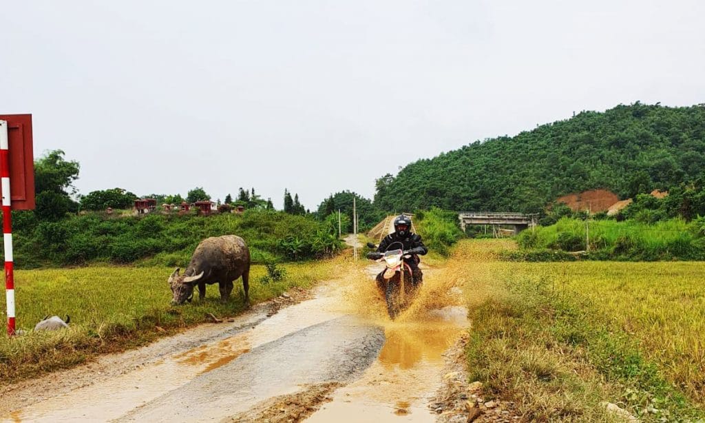 Do-I-need-a-license-to-ride-a-motorbike-in-Vietnam?