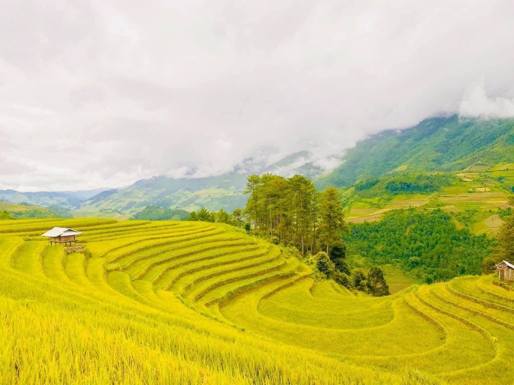 Mu Cang Chai 1 1024x768 - Why Must do Vietnam Motorbike Tour to Sapa & Ha Giang, Mu Cang Chai?