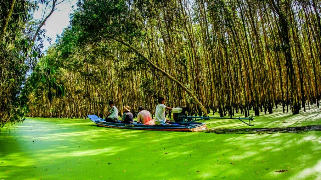 Ecotourism in Tra Su Cajuput Forest 1024x576 - Best Highlights of Vietnam Motorbike Tour to Mekong Delta from Saigon