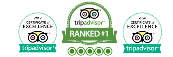 Tripadvisor Certificate - Homepage