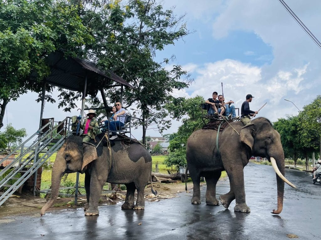 central highland of vietnam motorbike tour to kon tum dalat 2 1024x768 - Top 13 Attractions Of Vietnam Motorbike Tour from Saigon to Hue, Da Nang & Hoi An via Central Highlands on Ho Chi Minh trail