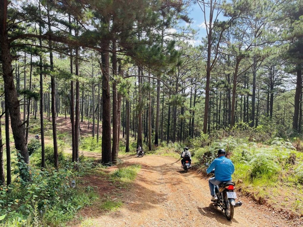 central highland of vietnam motorbike tour to kon tum dalat 4 1024x768 - Why To Ride Motorbike From Saigon To Central Highlands To Visit  Nam Cat Tien, Bao Loc, Da Lat, Pleiku, Buon Ma Thuot, Kon Tum ?