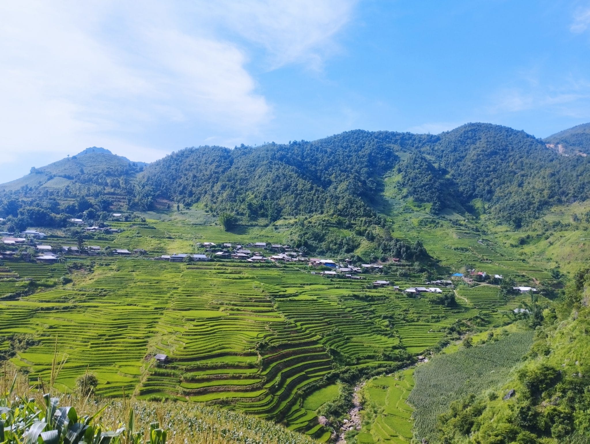 Ngoc Chien Terraced Rice fields