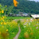 top-7-dishes-you-must-try-in-ngoc-chien-muong-la