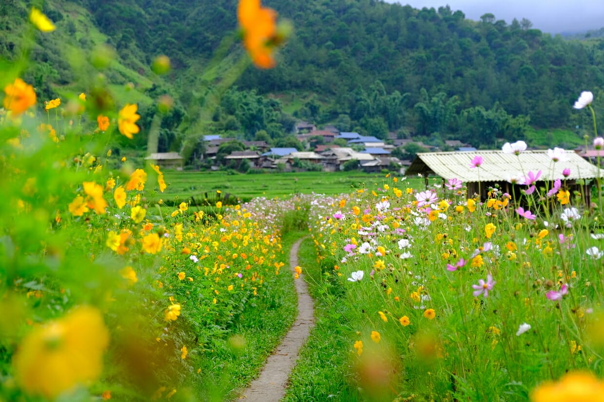 top-7-dishes-you-must-try-in-ngoc-chien-muong-la