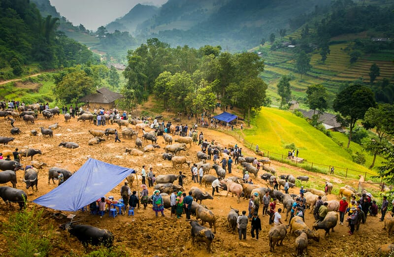 A corner of Bac Ha Sapa Market  - Top 10 photography spots in Northern Vietnam