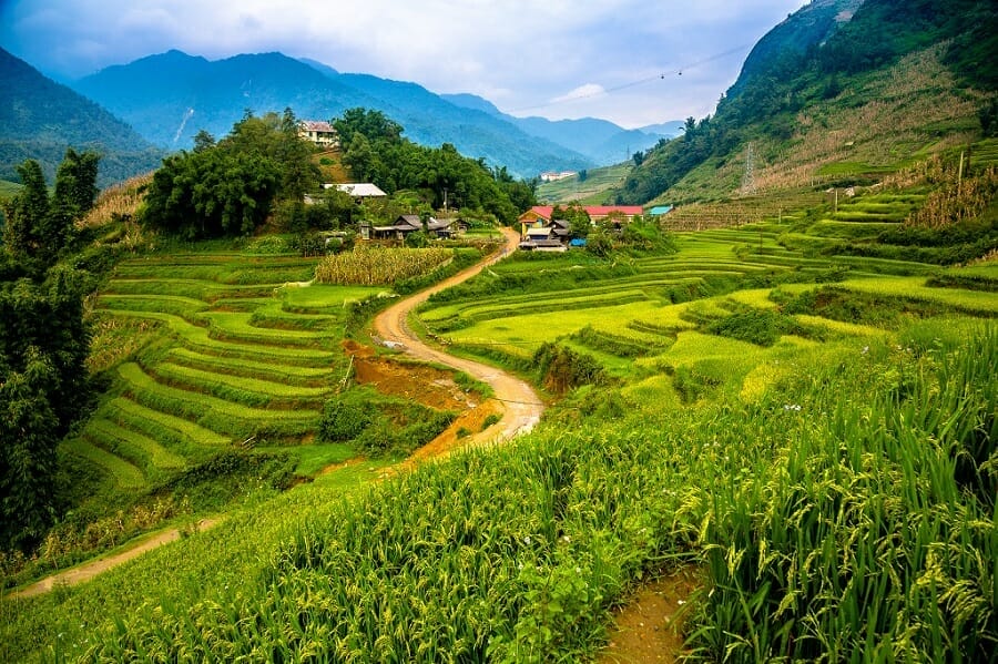 Sapa rice fields - Vietnam Dirt Bike Tour to Sapa: A Breathtaking Adventure through the Clouds