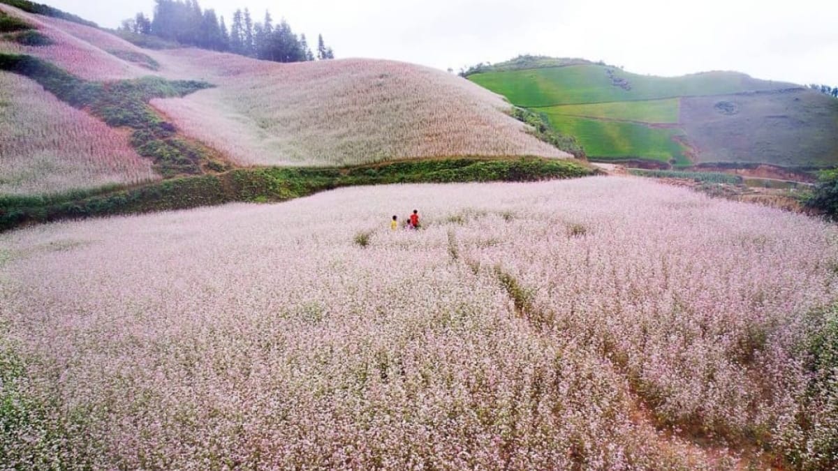 hagiang 6 - When Is the Best Time to Explore North East Vietnam on Two Wheels?