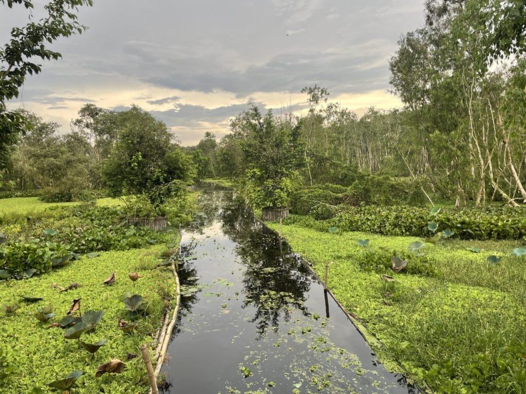 vietnam motorbike tours to saigon and mekong delta 4 1024x768 - Top Reasons Why You Should Do a Saigon Motorbike Tour to Mekong Delta