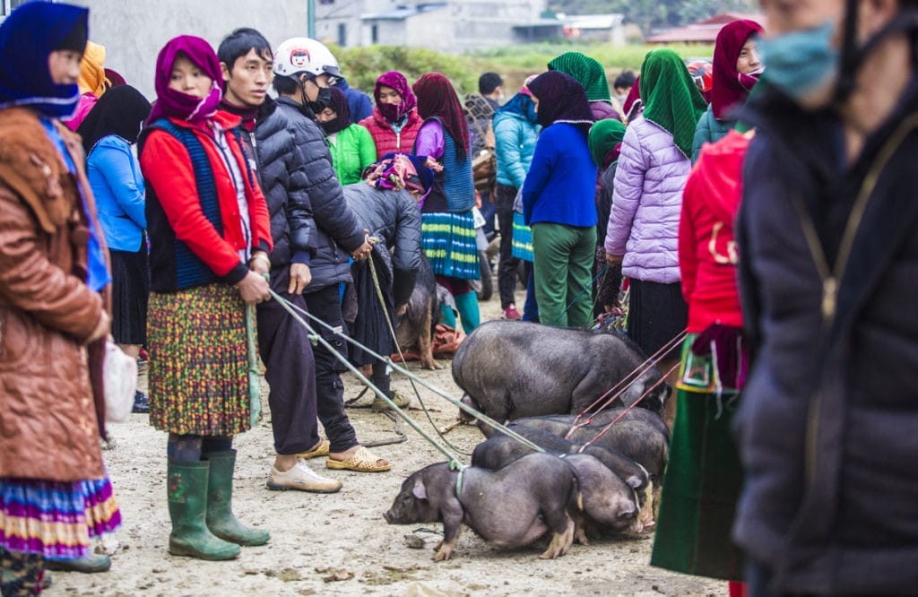 Electrifying Ha Giang Loop Motorbike Tour to Dong Van, Khau Vai and Du Gia- 4 Days