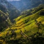 Hoang Su Phi Ha Giang 3 150x150 - Homepage