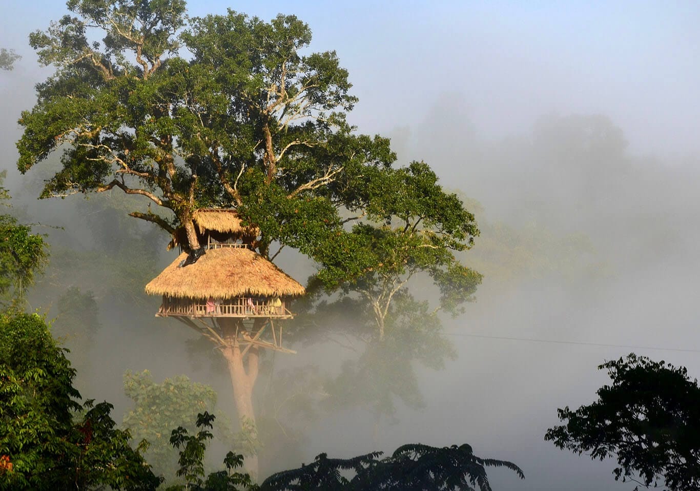 THE GIBBON EXPERIENCE Luang Prabang Motorbike Tour to Pakbeng - Laos Off-road Motorcycle Tours from Luang Prabang to Nong Khiaw, Houay Xai & Luang Namtha