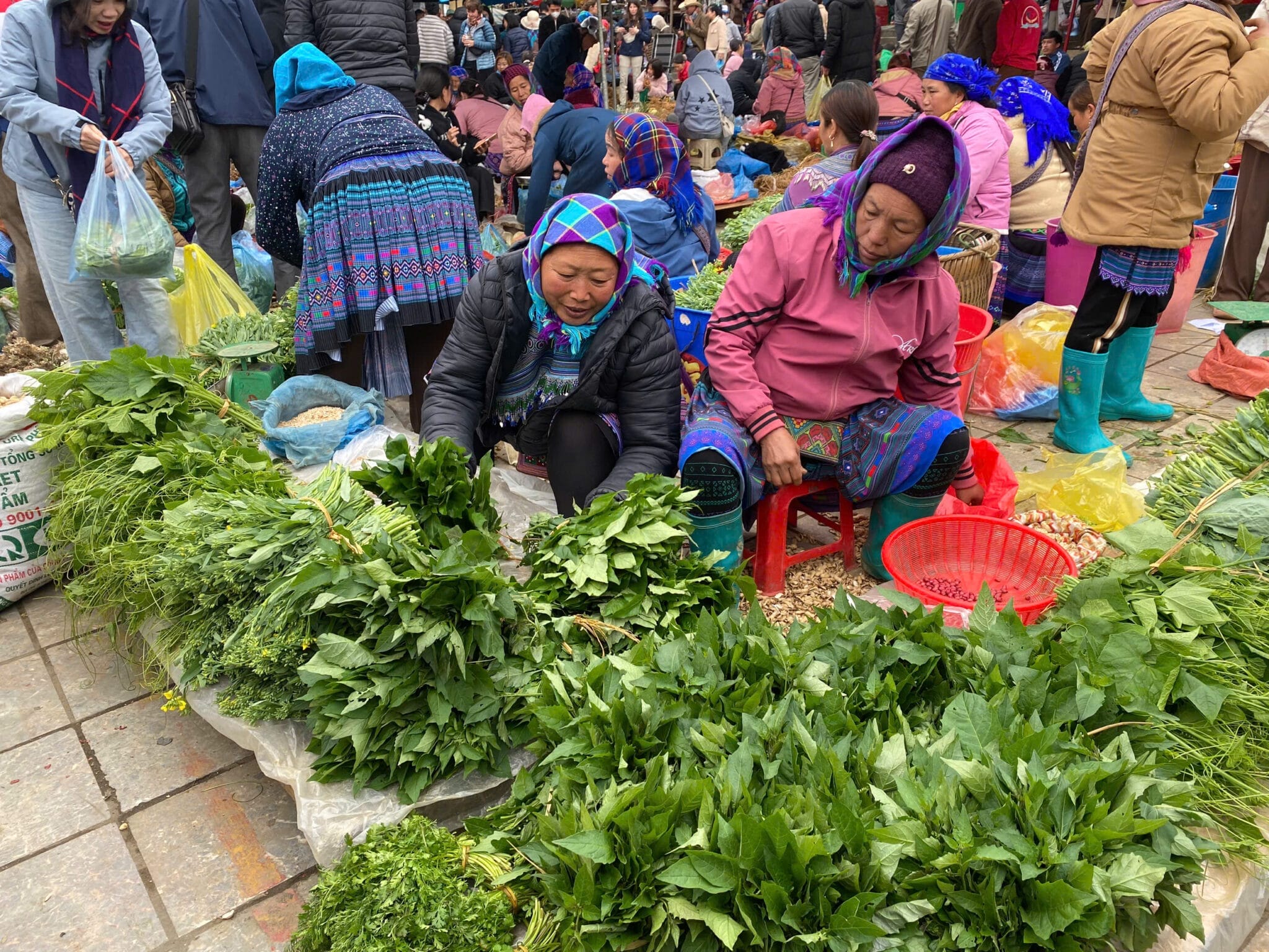 Vietnam Motorbike Tour to Bac Ha Market 2 - Vietnam Dirt Bike Tours to Bac Ha Market | Offroad Cultural Adventure